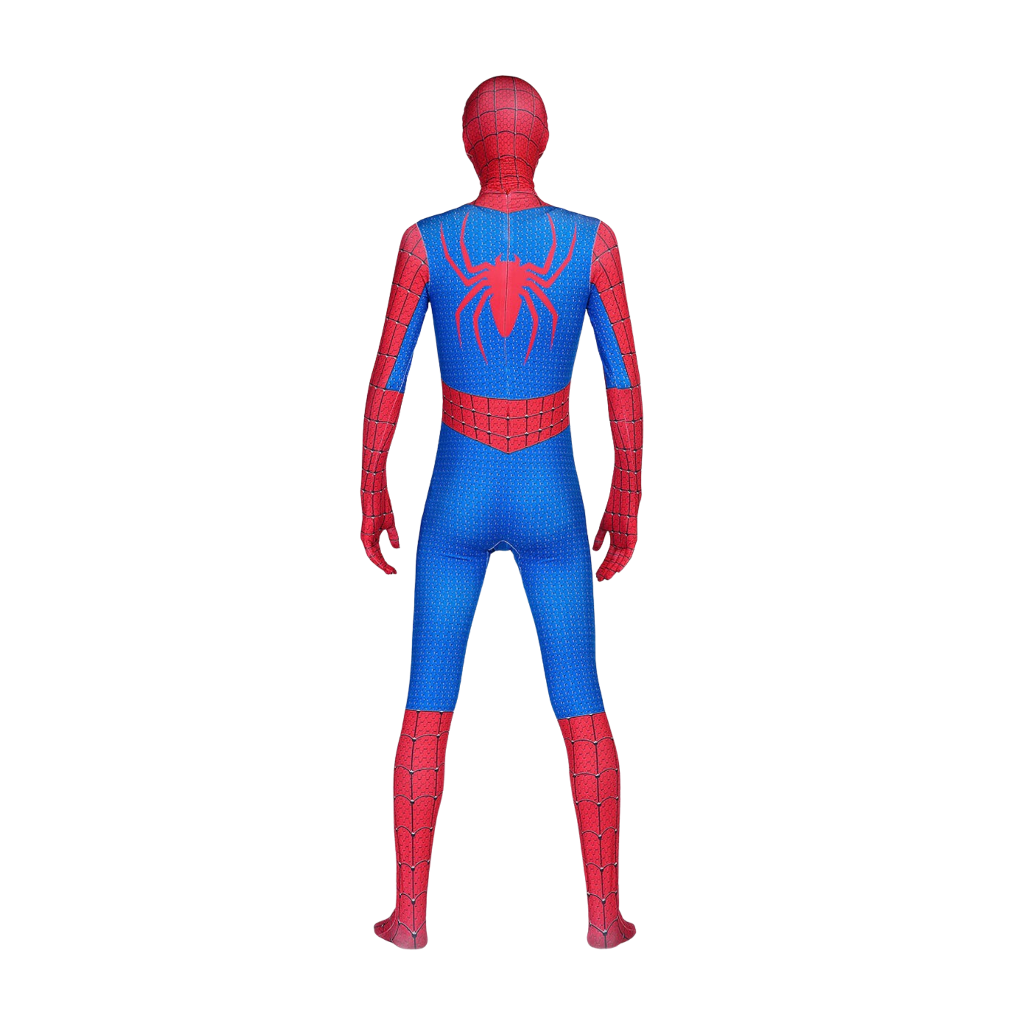 Spiderman asu miehille